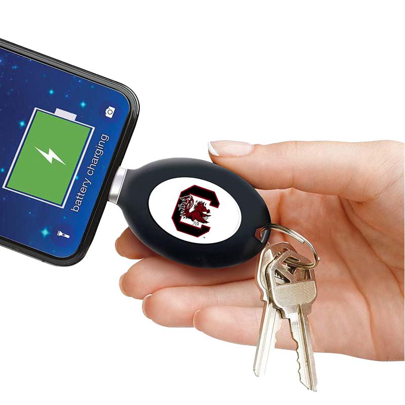 POWER ME KEYCHAIN CHARGER